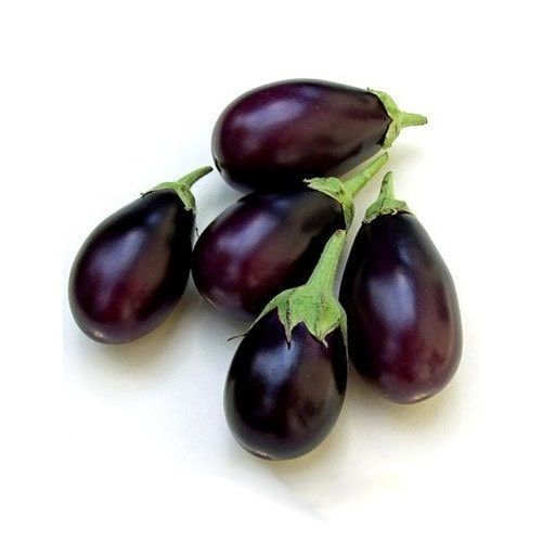 Healthy And Natural Rich In Nutrients  Easy To Digest Purple Brinjal