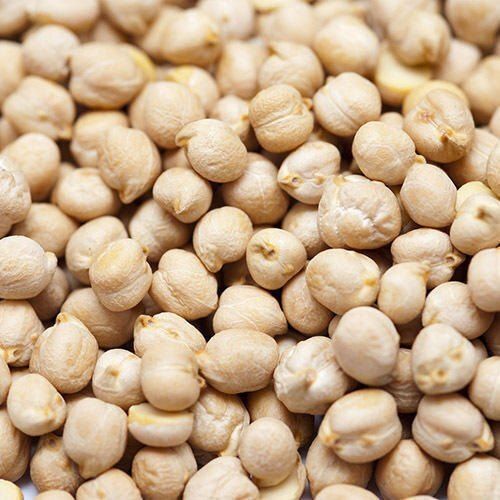 Rich Protein Delicious Natural Taste Dried Organic Whole White Chickpeas