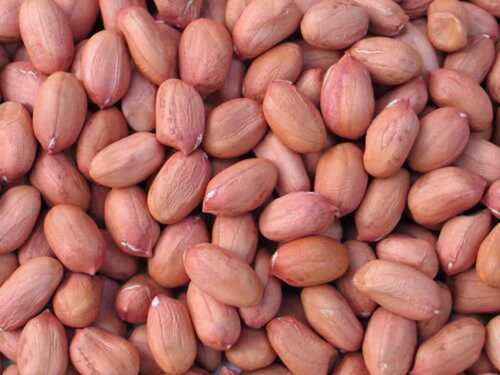 99.9% Purity Groundnut Seeds For Cooking And Medicine Use