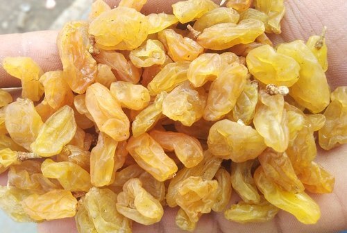 फाइबर और प्रोटीन का अच्छा स्रोत प्राकृतिक एंटीऑक्सीडेंट ड्राइड किशमिश