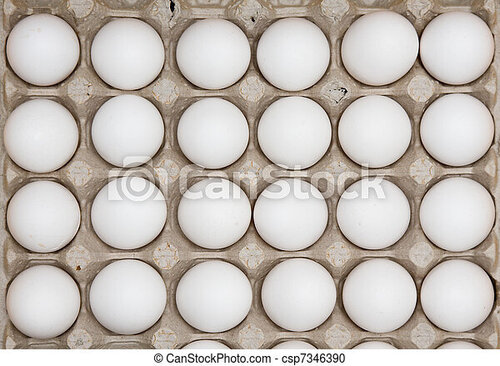 Poultry Chicken Fresh White Egg, 3 Months Shelf Life