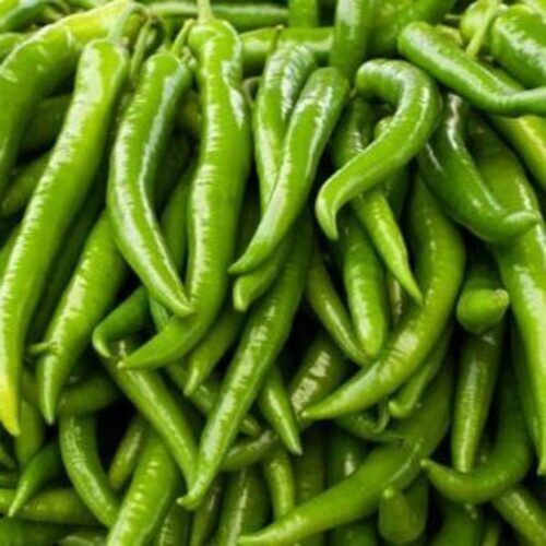 Spicy Natural Taste No Pesticides No Artificial Color Organic Fresh Green Chilli