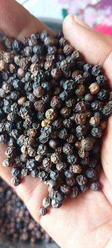 A Grade Indian Origin Hot And Spicy Taste Dried Black Pepper