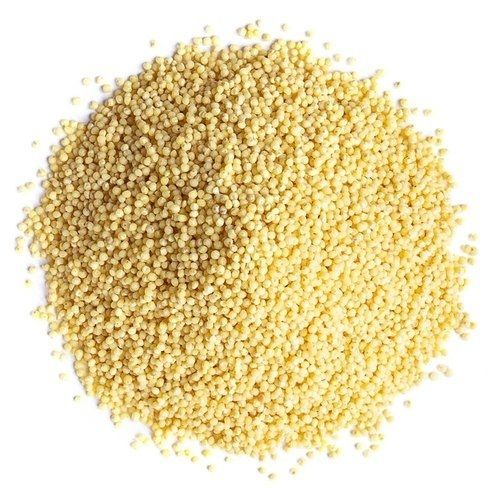 Good Source Of Manganese 2.3 Grams Fiber And 6.1 Grams Of Protein Organic Millet Seeds