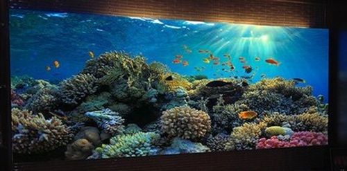 Indoor Led Video Wall For Auditoriums 100 Pixels With Ip65 Protection Level