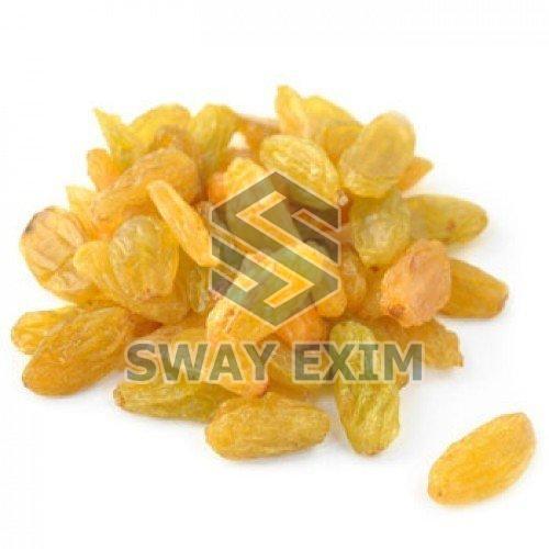 Rich Nutrition Healthy Natural Delicious Sweet Taste Dried Organic Yellow Raisins Dosage Form: Powder