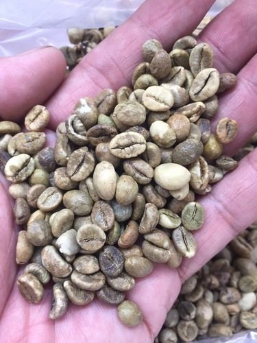 A Grade And Rich Taste Robusta Coffee With Breathable Aroma