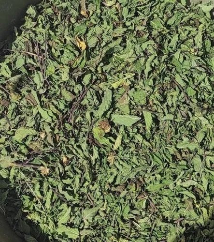 100% Natural Pudina Patta (Mint Leaves)