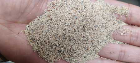 100% Unadulterated Poppy Seeds Without Preservative And Colors Dry Place