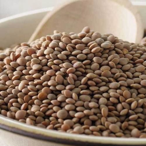 Easy To Cook Rich in Protein Natural Taste Dried Organic Brown Masoor Dal