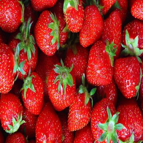 Natural Rich Taste Sweet Delicious No Artificial Color Organic Red Fresh Strawberry