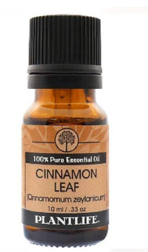 10 Ml Cinnamon Leaf 100% Pure Essential Oil With 12 Months Shelf Life 