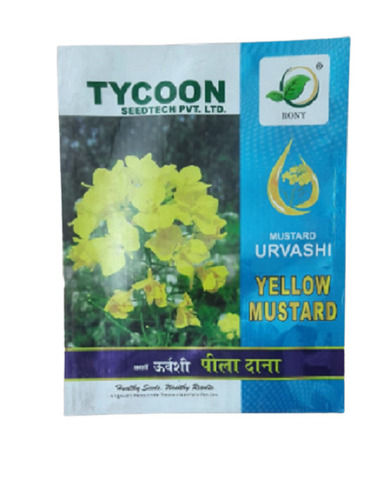 100% Pure A Grade Hybrid Irrigation Outdoor Sun Dried Yellow Mustard Seeds