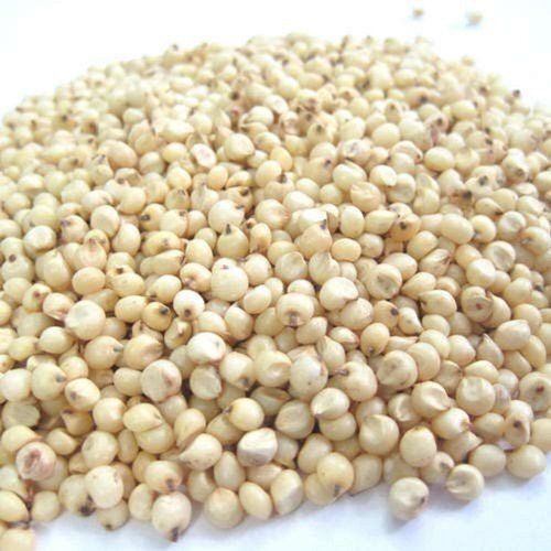 No Added Preservatives Rich In Protein Round White Jowar Admixture (%): 1%