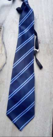 Light Weight Stripes School Tie