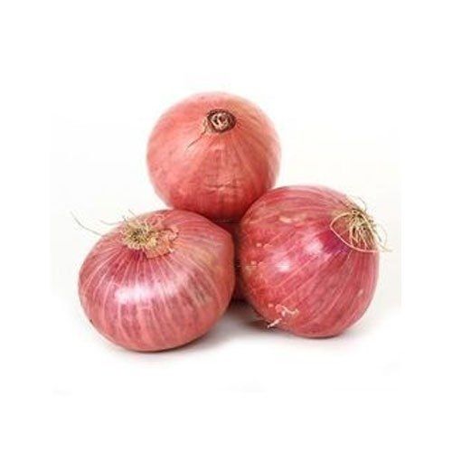 Rich In Calcium And Carbohydrates Fresh Organic Onion