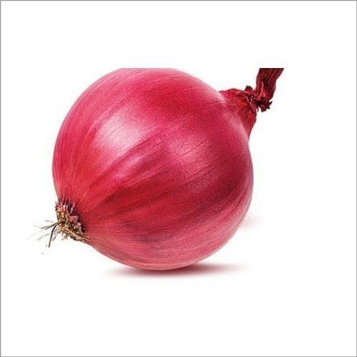 Dry 50 KG A Grade Fresh Red Onion, Net Bag, Onion Size Available: Medium