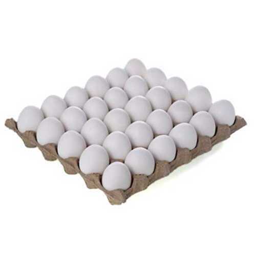 White Fresh Eggs For Human Consumption, Good For Health