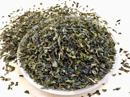 Loose Fresh Green Tea Leaves With 32% Moisture Shelf Life Of 24 Months