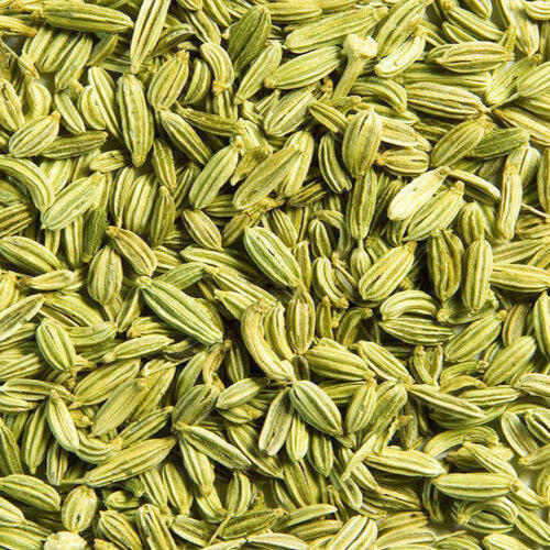 White No Artificial Color Fine Natural Taste Healthy Dried Organic Green Fennel Seeds