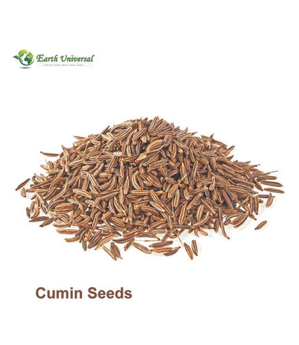 Silver Indian Organic Natural Aroma And Nutrition Dried Whole Cumin Seeds For Cooking