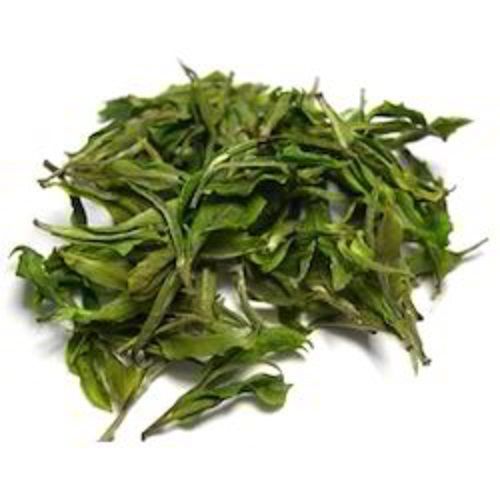 Organic Antioxidants Rich Dried Refreshing Natural Fresh Green Tea Leaves