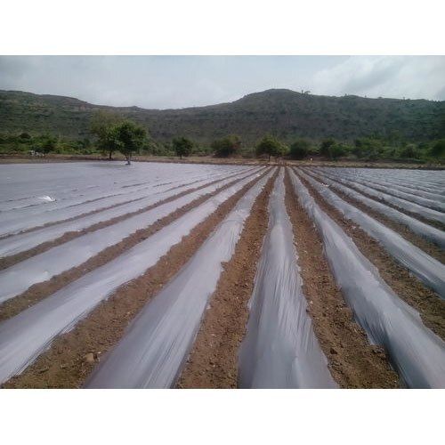 25 Microns And 400 Meter Agriculture White Plastic Mulching Film
