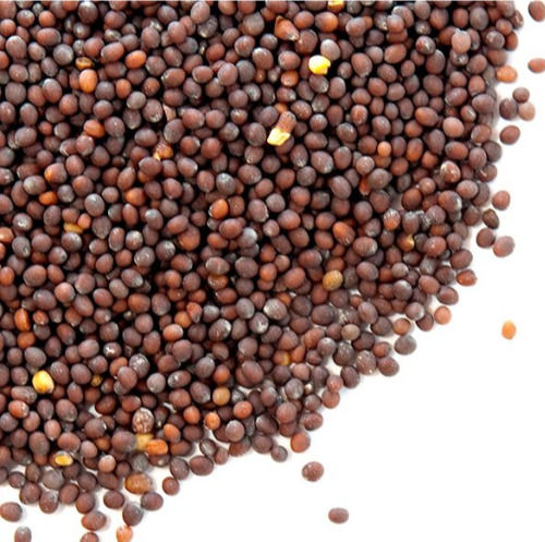 100% Pure Organic Black Mustard Seeds With packaging Size 1 Kg And 9 Months Shelf Life
