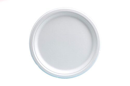 Bagasse 10" Plain Plate