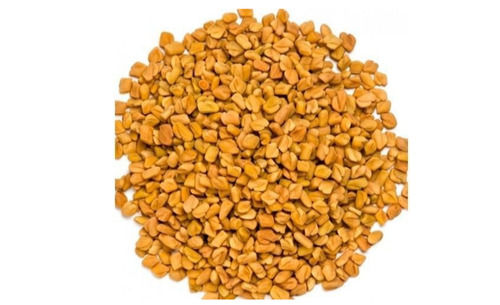 Natural Fenugreek With packaging Size 25 Kg And 9 Months Shelf Life