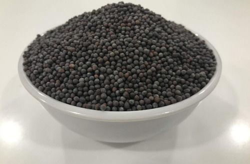 Organic Black Mustard Seeds With packaging Size 1 Kg And 9 Months Shelf Life