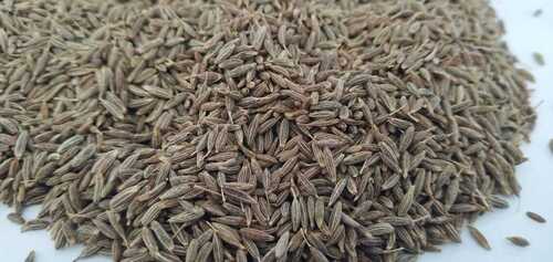 Highly Pure And Healthy Cumin Seeds