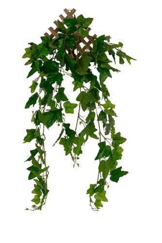 Modern Style Handmade Durable Plastic Vines Decorative Wall Hanging