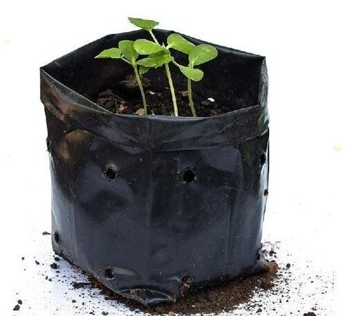 https://tiimg.tistatic.com/fp/1/008/060/black-round-hdpe-plant-growing-bag-for-horticulture-use-483.jpg