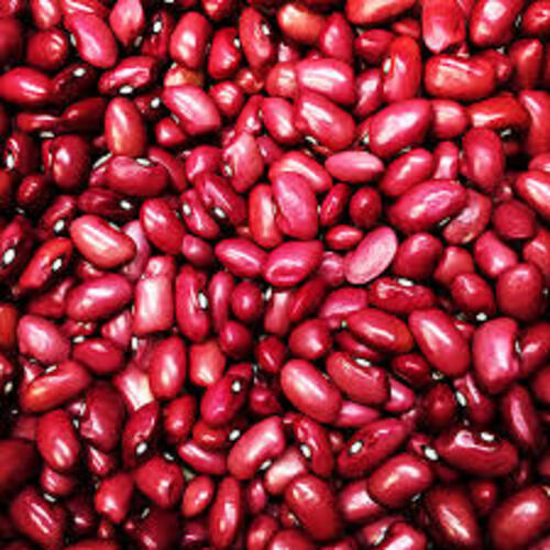 White And Orange Natural Healthy Rich Taste No Artificial Color Dried Red Kidney Beans