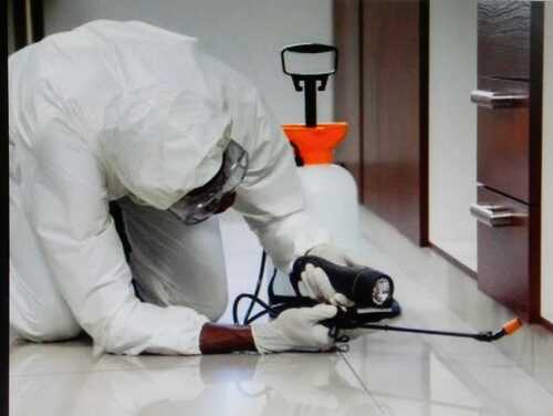 Termite Control Services For Home, Office, Warehouse, Hotels By Anupma Pest Controller India