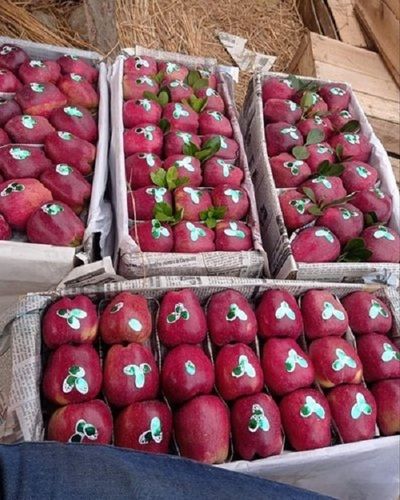 Shimla Himachali Fresh Organic Apple, Packaging Size: 28 Kg, Packaging  Type: Carton