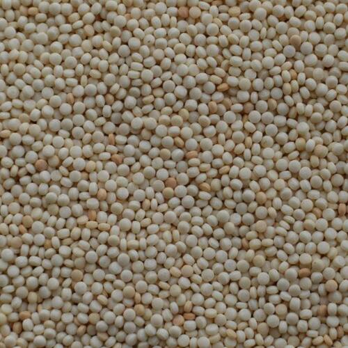 Chemical Free Healthy Natural Rich Fine Taste White Mustard Seeds