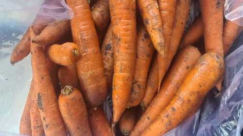 Fresh Red Carrot, High In Vitamin A