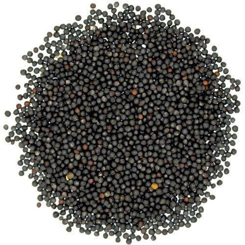 Healthy Natural Rich Fine Taste Chemical Free Black Mustard Seeds