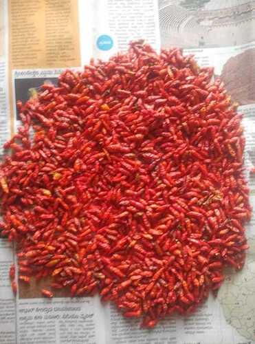 100% Pure And Organic A Grade Birds Eye Chilli