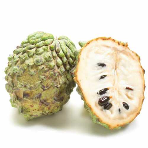 Annona Cherimola (Cherimoya, Custard Apple, Chirimoya)