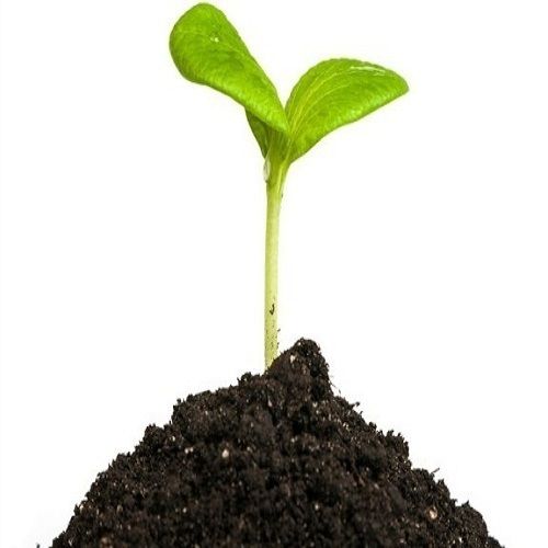 Bio Organic Manure For Agriculture Usage Powder