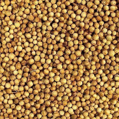 Dried And A Grade Coriander Seed Admixture (%): 1%