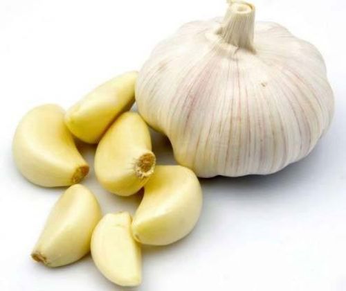 100% Organic And Natural White Fresh Round Shape Canned Garlic