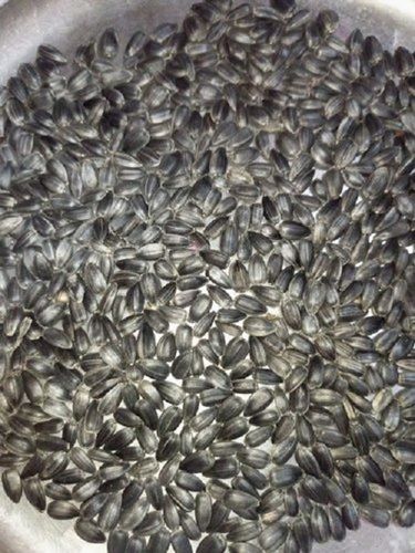 100% Organic Natural Dried Black Sunflower Seeds