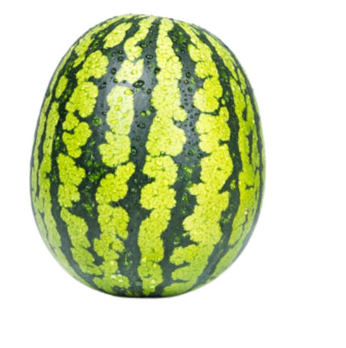 3 Kilogram Commonly Cultivated Healthy Pure And Fresh Sweet Watermelon