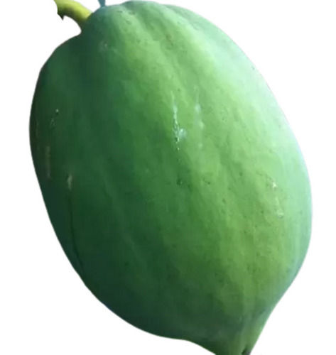 Indian Origin Naturally Grown 100% Pure Healthy Fresh Sweet Papaya