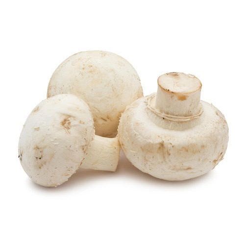 Fresh White Pure Natural Button Mushroom