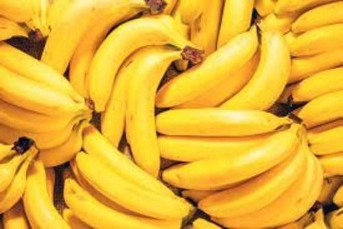 Rich In Fiber Organic Cultivated Topologically Shape Yellow Fresh Sweet Banana